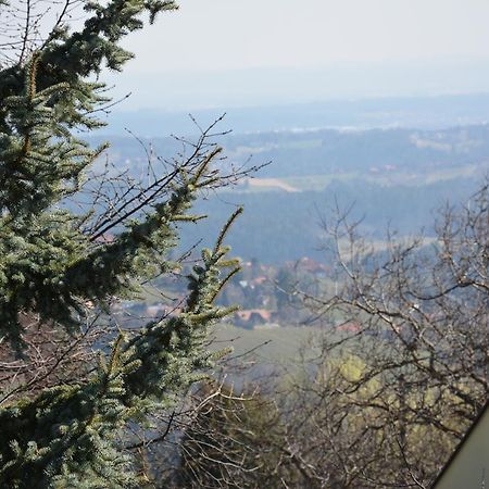 Weingut Seiner Vlg. Kraxner Villa Greisdorf ภายนอก รูปภาพ